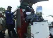 Panen Raya di Kota Palopo Terhubung Langsung Dengan Presiden Probowo Via Daring