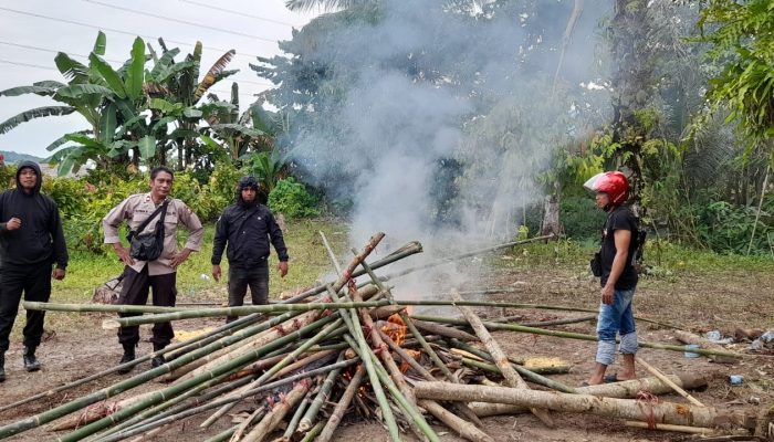 Belum Sempat Digunakan, Arena Sabung Ayam di Telluwanua Dibongkar Polisi
