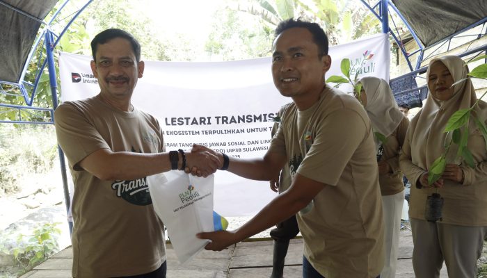 Pemkot Palopo Terima 2.000 Bibit Pohon untuk Penghijauan dari PLN