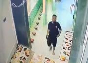 Aksi Pencurian di Masjid Besar Rantepao Terekam CCTV, Pelaku Berhasil Diringkus