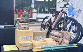 Apresiasi Literasi Warnai Penutupan UMKM Expo Luwu 2025, Dinas Perpustakaan Luwu Bagikan Doorprize