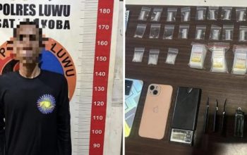 Polisi Ringkus Pengedar Narkoba di Lamasi, 25 Sachet Sabu Diamankan