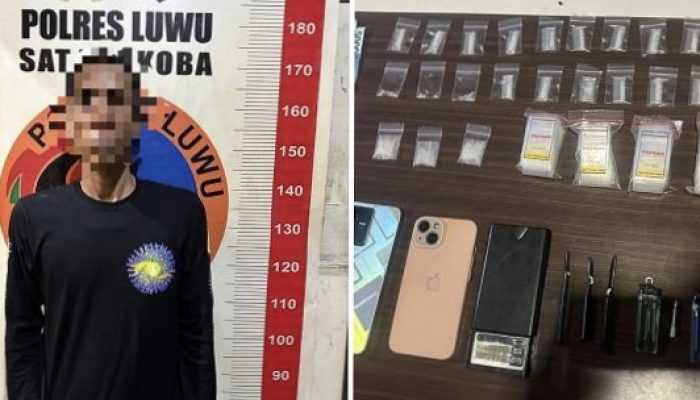 Polisi Ringkus Pengedar Narkoba di Lamasi, 25 Sachet Sabu Diamankan
