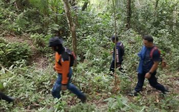 Warga Lamasi Hulu Hilang di Pegunungan Parembonan, Tim SAR Terus Lakukan Pencarian