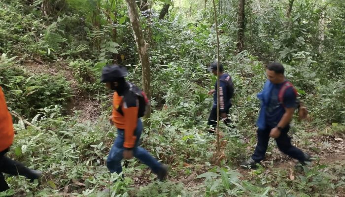 Warga Lamasi Hulu Hilang di Pegunungan Parembonan, Tim SAR Terus Lakukan Pencarian