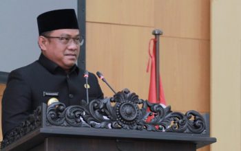 Bupati Patahudding Targetkan Luwu Jadi Daerah Produsen Beras