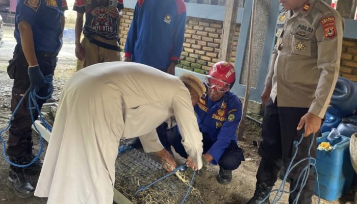 Warga Desa Pao Diserang Buaya, Alami Luka Serius Pada Paha dan Punggung