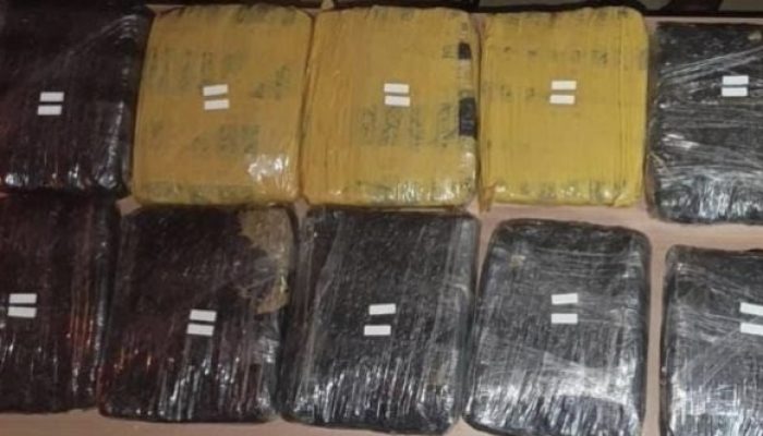 Polisi Bongkar Peredaran 15,5 Kg Ganja, Tiga Pria Diciduk di Tanah Abang dan Pamulang