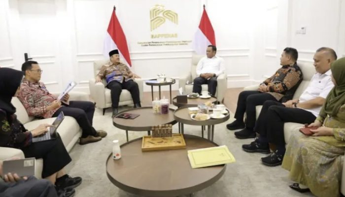 Temui Menteri PPN/Bappenas, Bupati Luwu Dorong Percepatan Pembangunan Kesehatan dan Infrastruktur