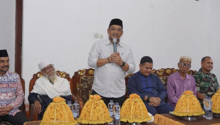 Pemkab Luwu Siapkan 8 Juta Bibit Kakao, Bupati Patahudding Persilakan Petani Ajukan Proposal