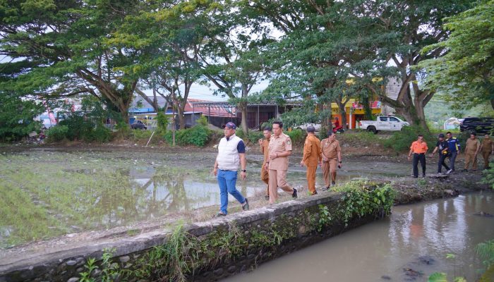 Bupati Luwu Sidak Titik Banjir, Drainase Tersumbat Jadi Penyebab