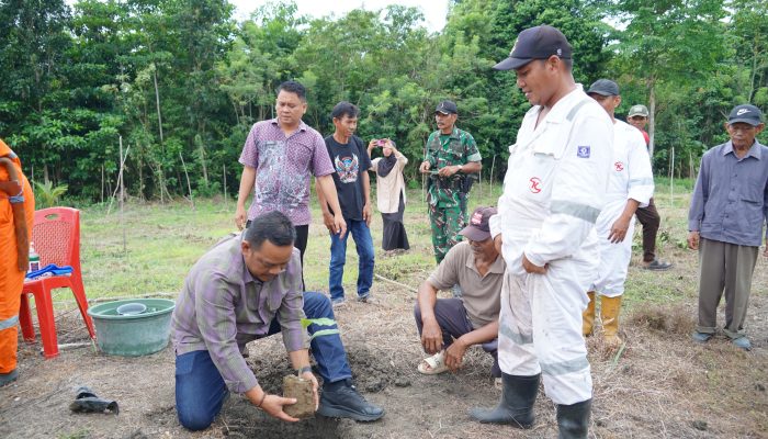 Luwu Mulai Garap Potensi Aren Genjah, Patahudding Sebut Komoditas Masa Depan Petani