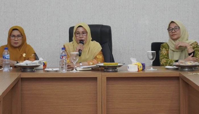 Ketua Tim Pembina Posyandu Luwu Ikuti Sosialisasi Transformasi Posyandu Era Baru
