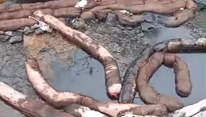 Pipa Minyak PT Vale Bocor di Luwu Timur, Janji Menjaga Lingkungan Dipertanyakan