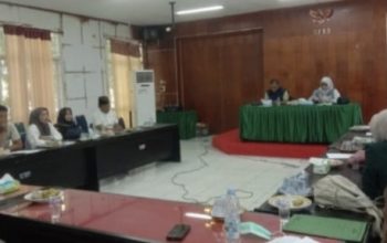 Saifuddin Soroti Ketidakhadiran Kadis Kesehatan Luwu Utara Saat RDP