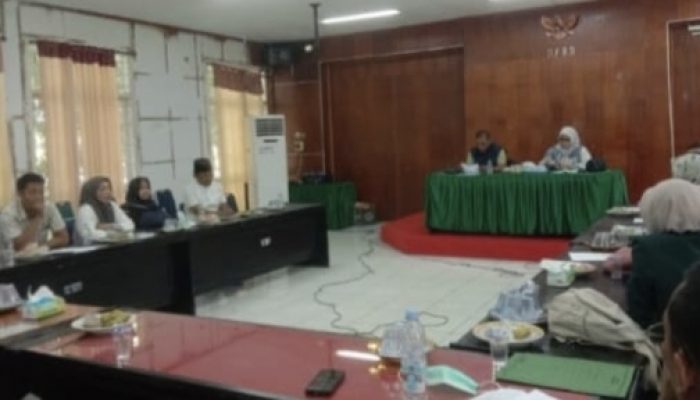 Saifuddin Soroti Ketidakhadiran Kadis Kesehatan Luwu Utara Saat RDP