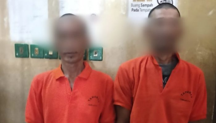 Kasus Pengrusakan Tanaman di Malangke, 3 Orang Resmi Jadi Tersangka