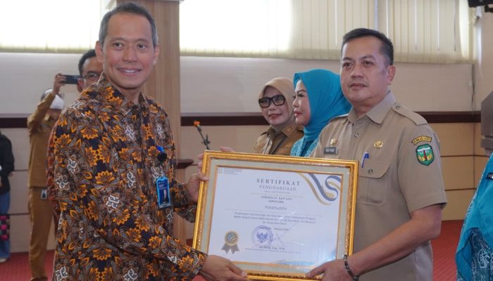 Pemkab Luwu Terima Penghargaan Dukungan Program MBG 3B