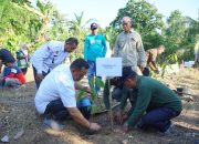 Luwu Siap Bangkitkan Kejayaan Kakao Lewat Pengelolaan Lanskap Terpadu