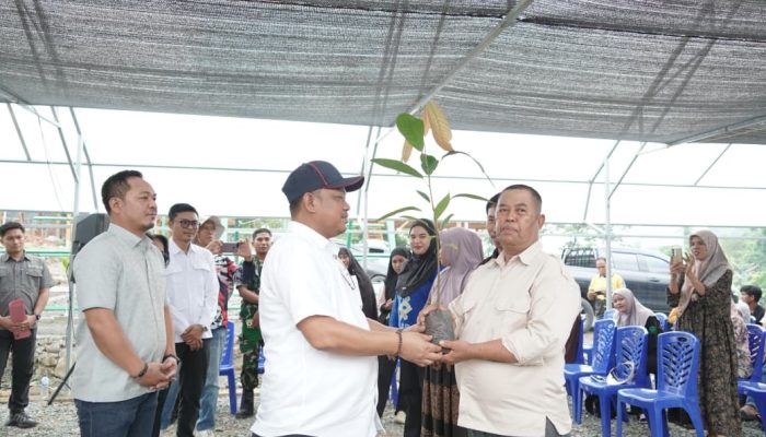 Patahudding Optimistis Kakao Kembali Jadi Andalan Ekonomi Daerah