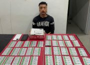 Polres Luwu Bongkar Modus Pengiriman Tramadol Lewat Jasa Ekspedisi