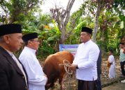 Pemkab Luwu Catat 2.272 Sapi dan 109 Kambing Kurban pada Idul Adha