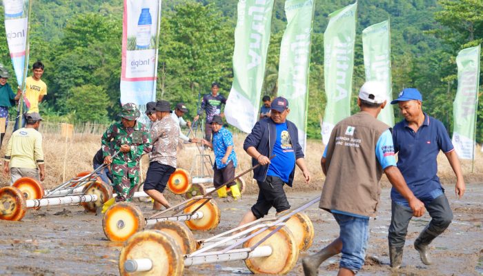 Tanam Padi Bersama Petani, Patahudding Resmi Luncurkan Program IP 300