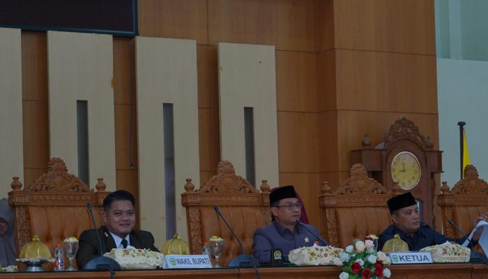 Pendapatan Rp1,518 Triliun, Kinerja Keuangan Pemkab Luwu Tuai Apresiasi
